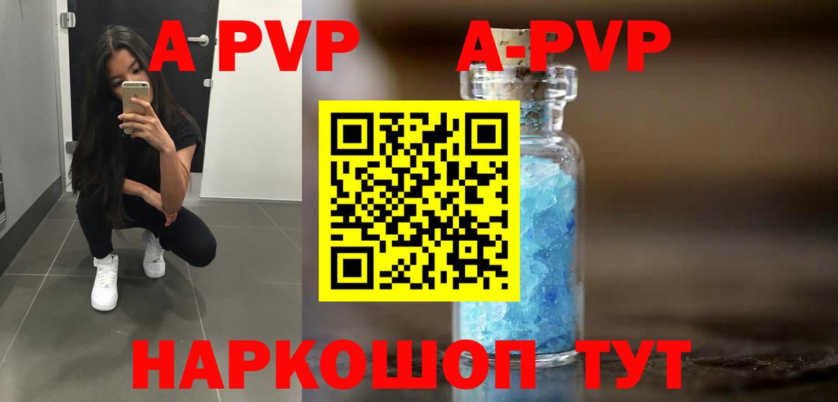 Alfa_PVP СК Прокопьевск