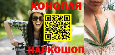 гидра Каменск-Шахтинский