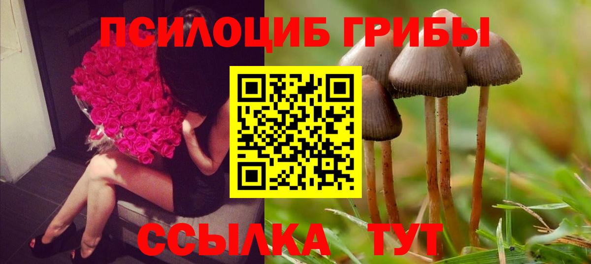 Псилоцибиновые грибы Cubensis Прокопьевск